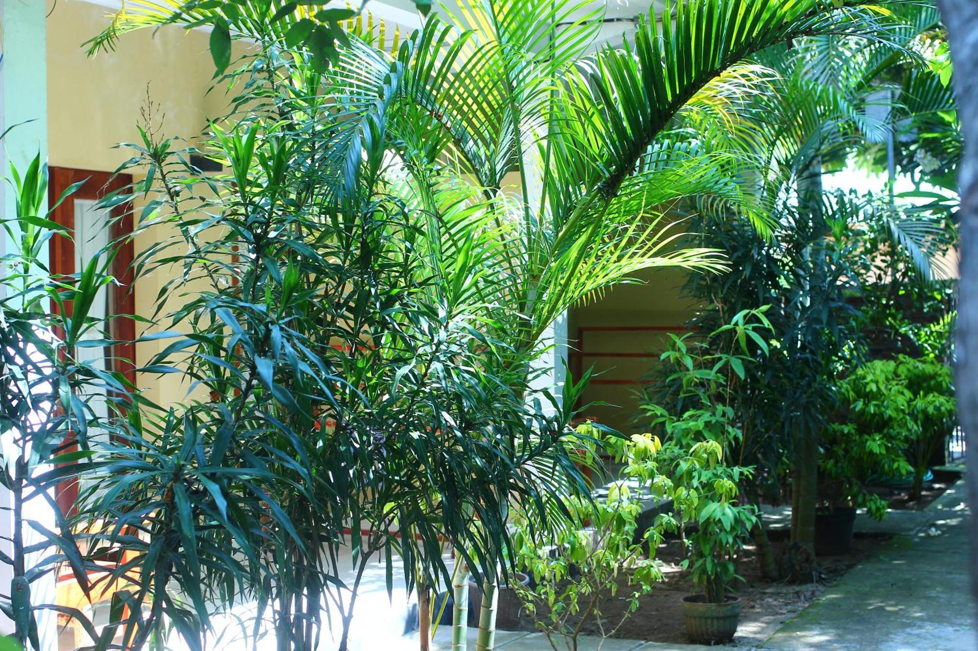 Three V Homestay Kuta  Екстериор снимка