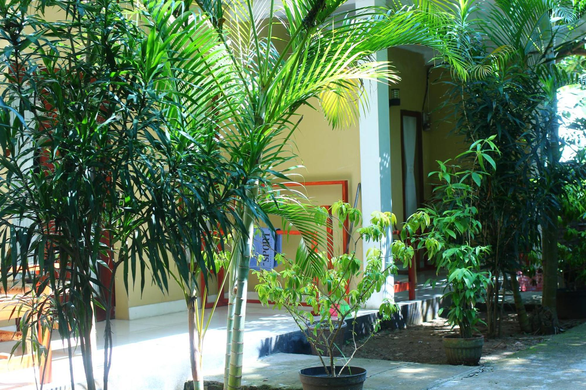 Three V Homestay Kuta  Екстериор снимка