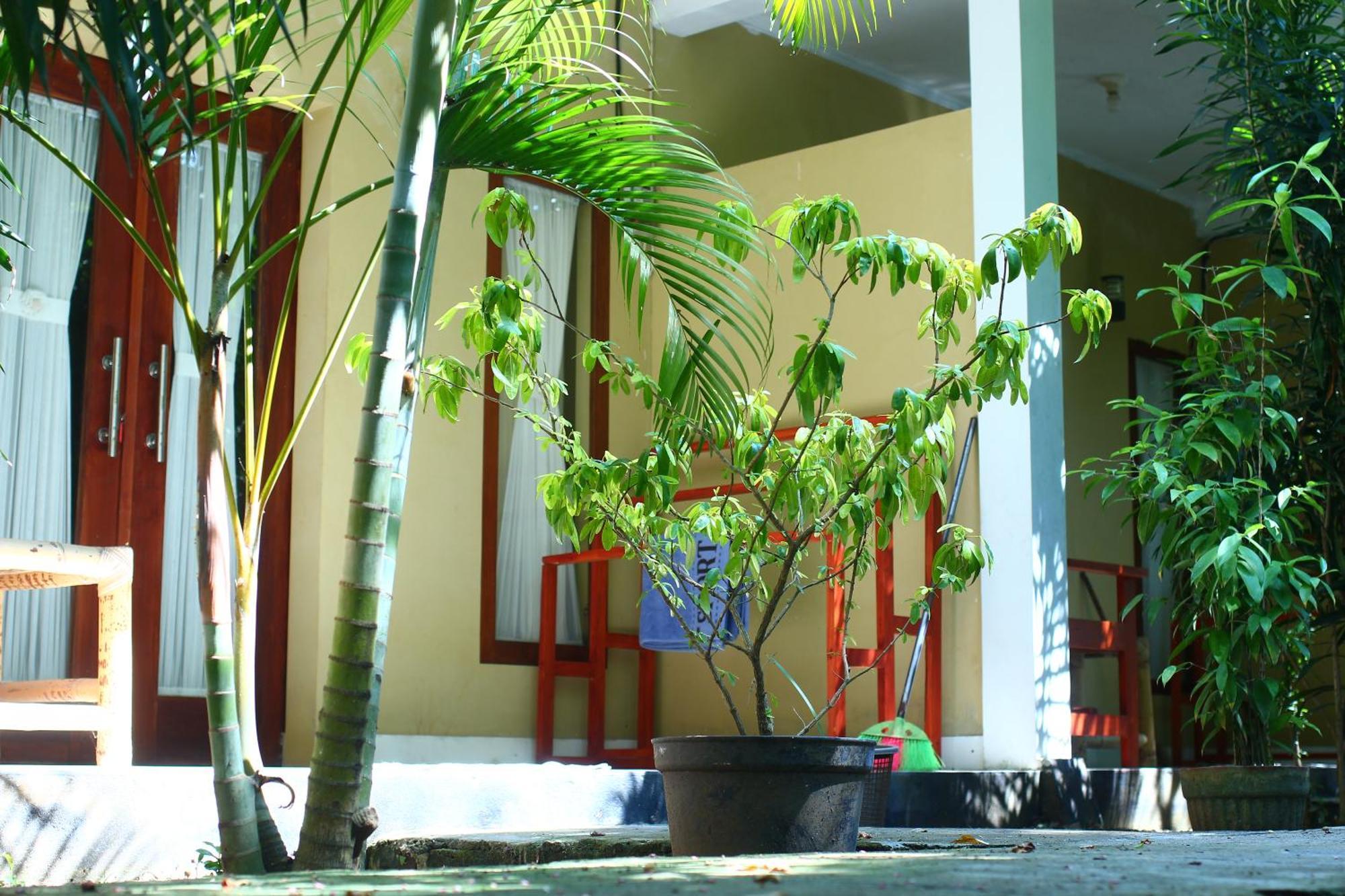 Three V Homestay Kuta  Екстериор снимка