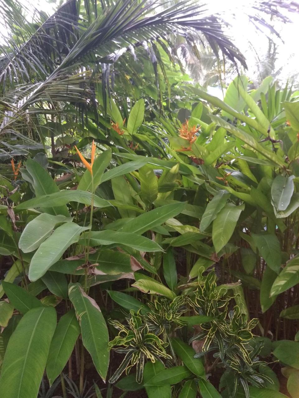 Three V Homestay Kuta  Екстериор снимка